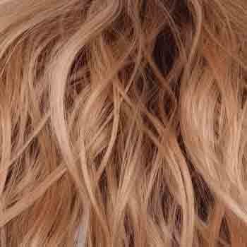 Eva Gabor Wig Color Dark Chocolate Mist