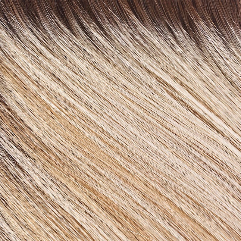 Eva Gabor Wig Color Dark Chocolate Mist