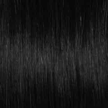 Eva Gabor Wig Color Dark Chocolate Mist