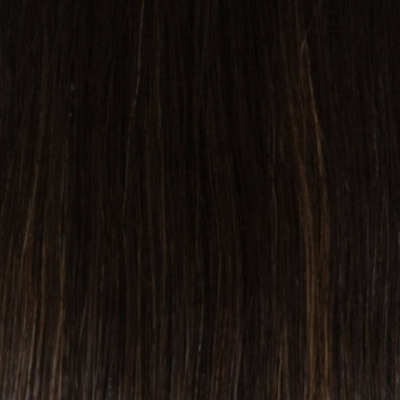 Eva Gabor Wig Color Dark Chocolate Mist