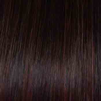 Eva Gabor Wig Color Dark Chocolate Mist