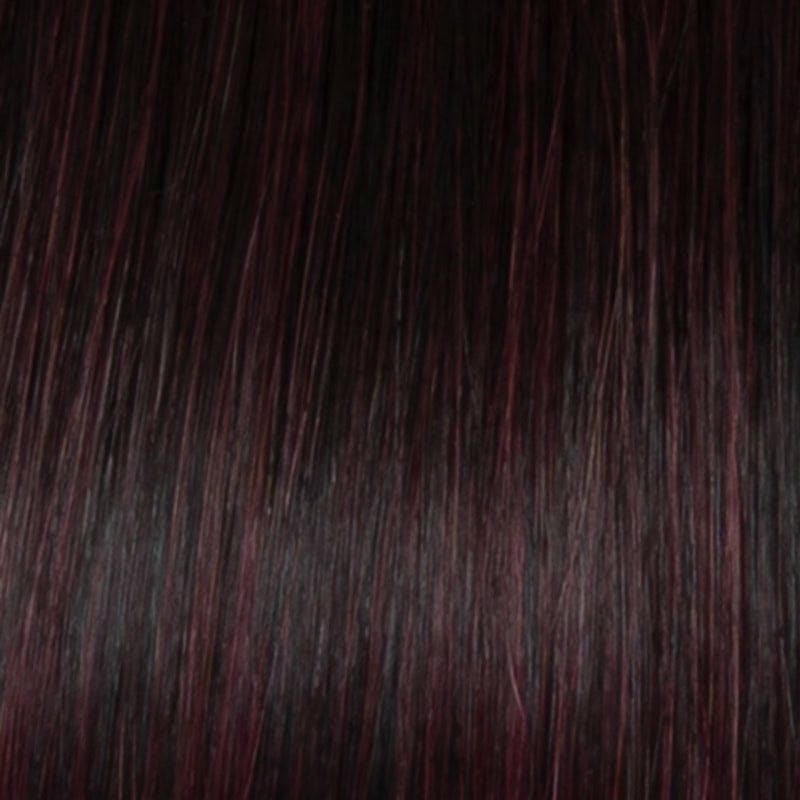 Eva Gabor Wig Color Dark Chocolate Mist