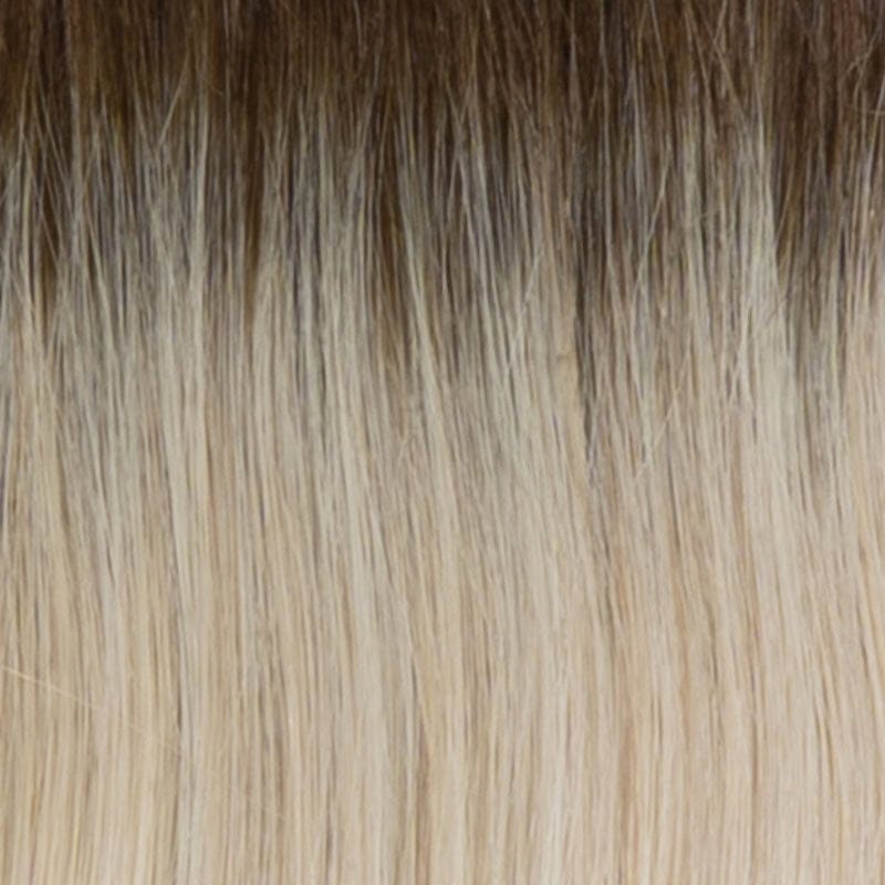 Eva Gabor Wig Color Dark Chocolate Mist