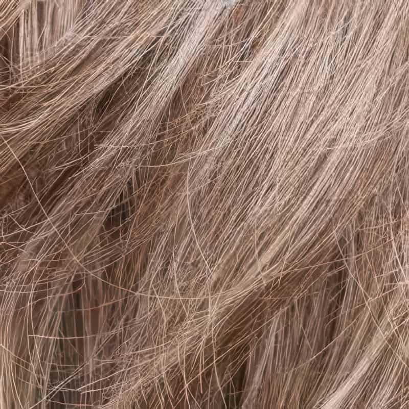 Eva Gabor Wig Color Dark Chocolate Mist