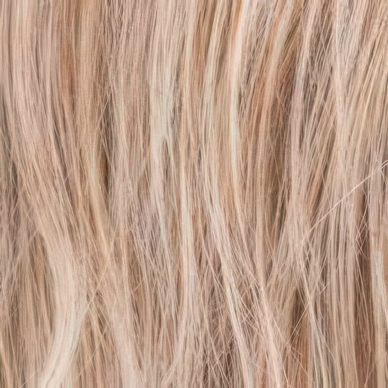 Eva Gabor Wig Color Dark Chocolate Mist