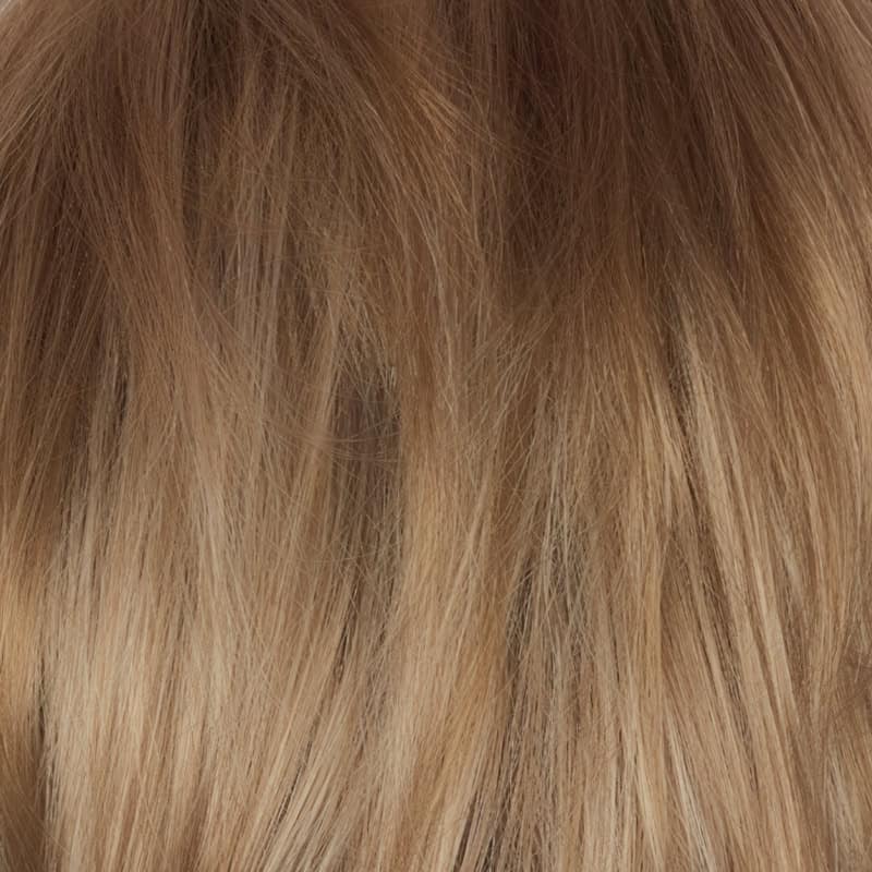Eva Gabor Wig Color Dark Chocolate Mist