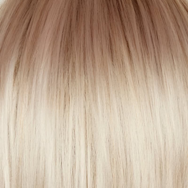 Eva Gabor Wig Color Dark Chocolate Mist