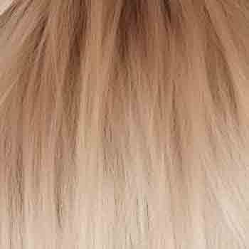Eva Gabor Wig Color Dark Chocolate Mist
