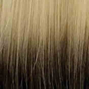 Eva Gabor Wig Color Dark Chocolate Mist