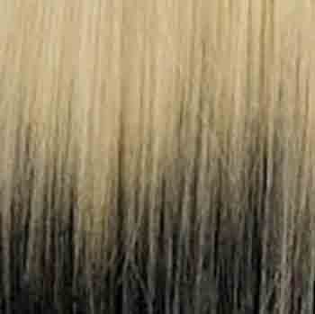 Eva Gabor Wig Color Dark Chocolate Mist