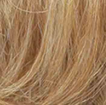 Eva Gabor Wig Color Dark Chocolate Mist