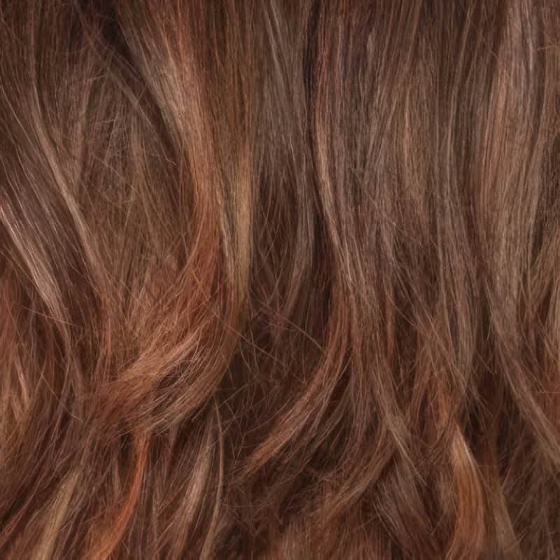 Eva Gabor Wig Color Dark Chocolate Mist