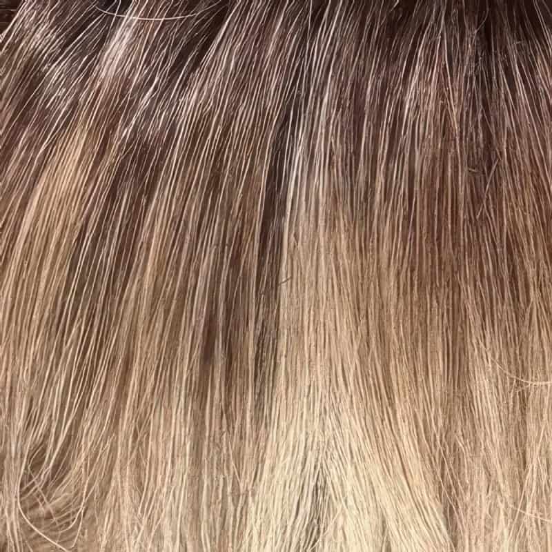 Eva Gabor Wig Color Dark Chocolate Mist
