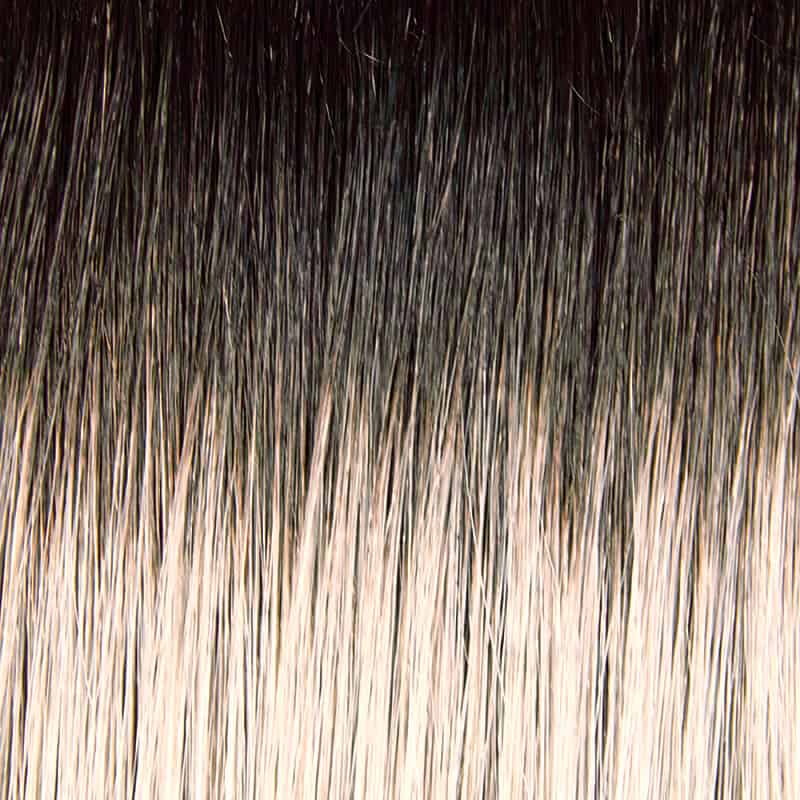 Eva Gabor Wig Color Dark Chocolate Mist