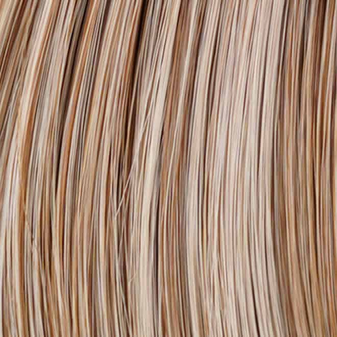 Eva Gabor Wig Color Dark Chocolate Mist