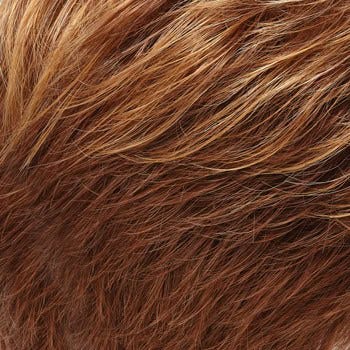 Eva Gabor Wig Color Dark Chocolate Mist