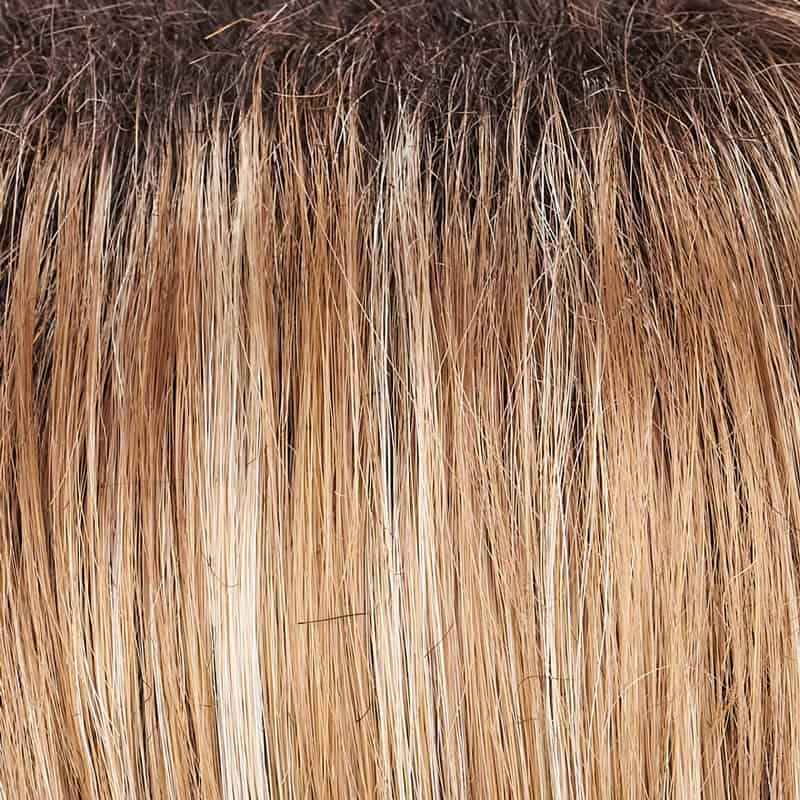Eva Gabor Wig Color Dark Chocolate Mist
