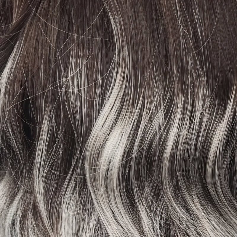 Eva Gabor Wig Color Dark Chocolate Mist