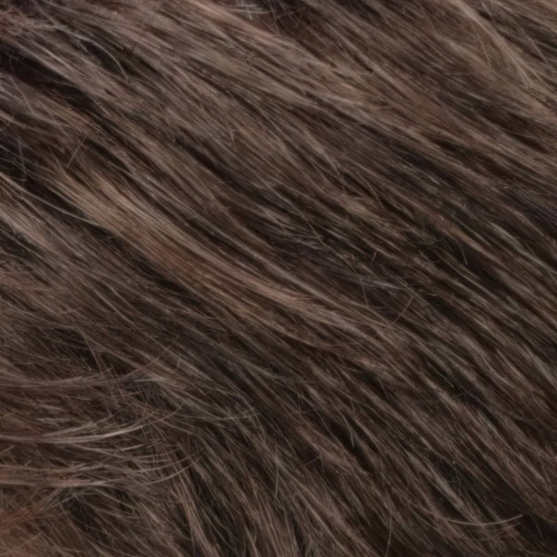 Eva Gabor Wig Color Dark Chocolate Mist