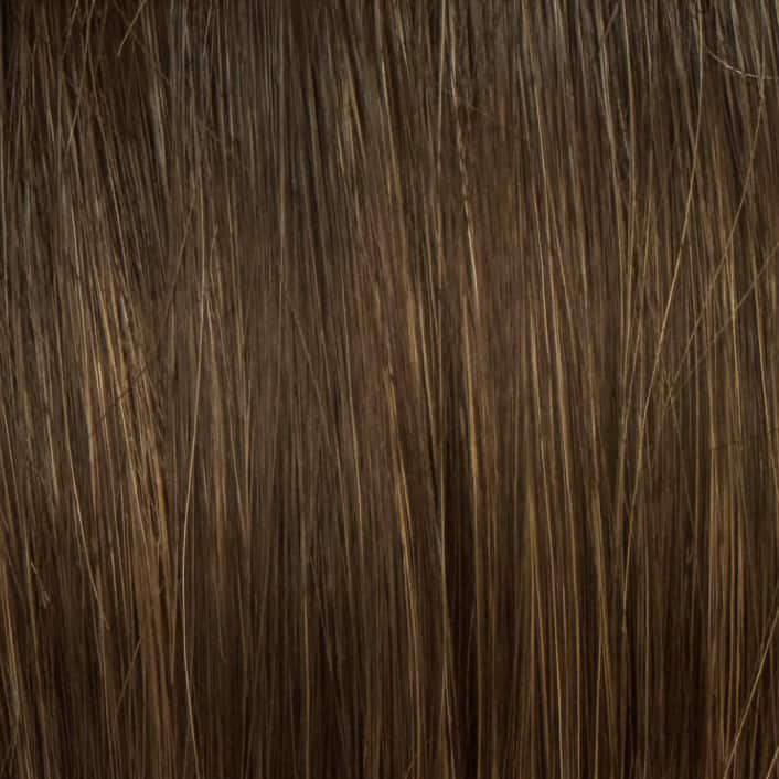 Eva Gabor Wig Color Dark Chocolate Mist