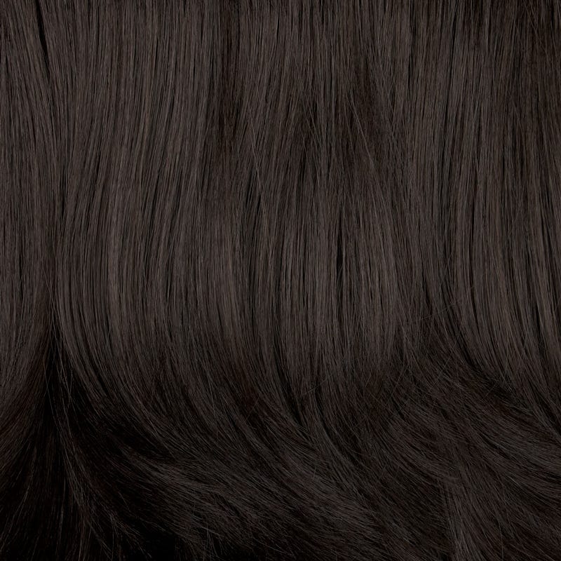 Eva Gabor Wig Color Dark Chocolate Mist
