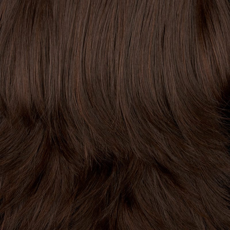 Eva Gabor Wig Color Dark Chocolate Mist
