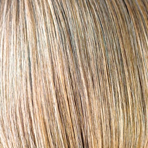 Eva Gabor Wig Color Dark Chocolate Mist