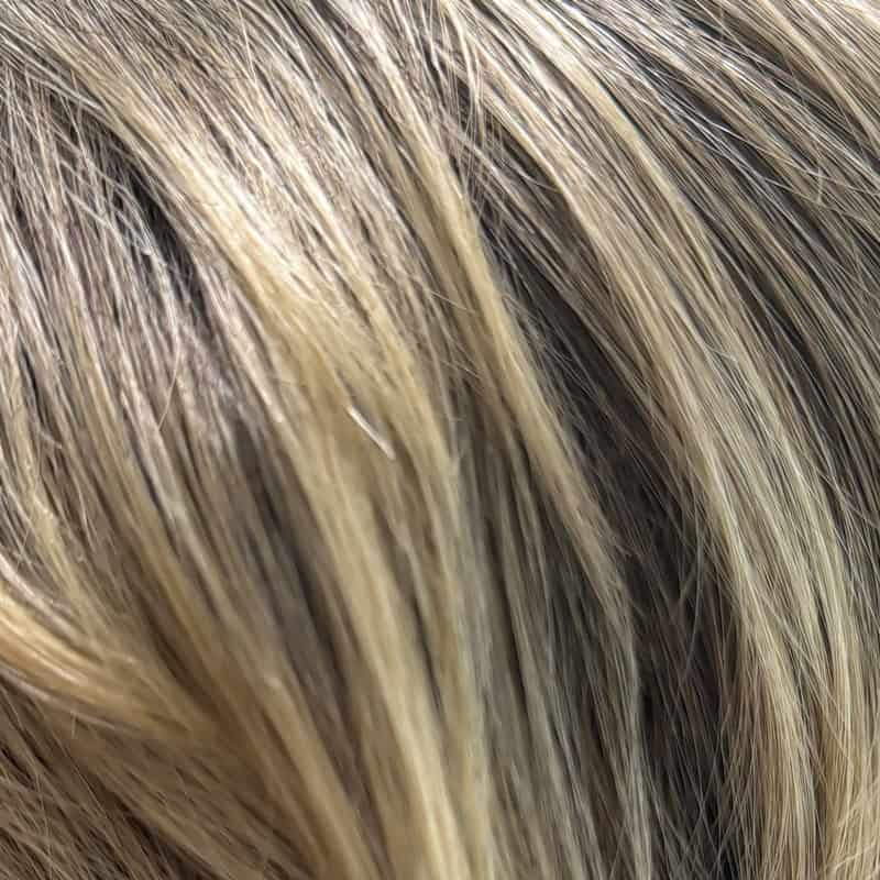 Eva Gabor Wig Color Dark Chocolate Mist