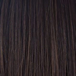 Eva Gabor Wig Color Dark Chocolate Mist