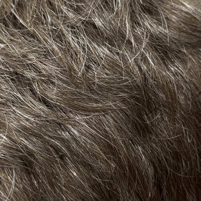 Eva Gabor Wig Color Dark Chocolate Mist