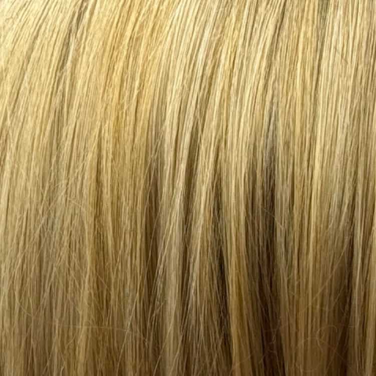 Eva Gabor Wig Color Dark Chocolate Mist