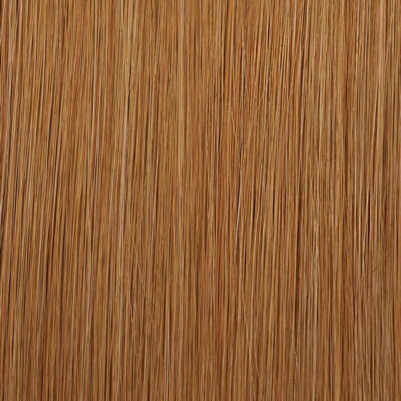 Eva Gabor Wig Color Dark Chocolate Mist
