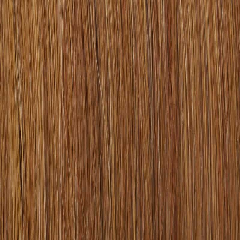 Eva Gabor Wig Color Dark Chocolate Mist