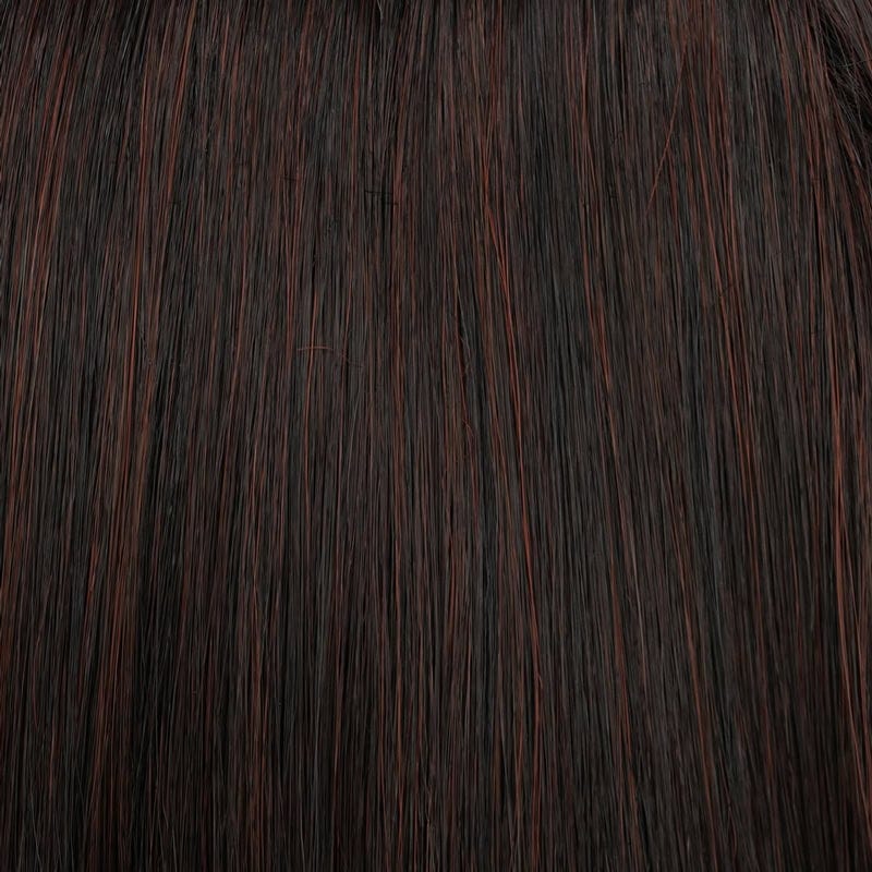 Eva Gabor Wig Color Dark Chocolate Mist