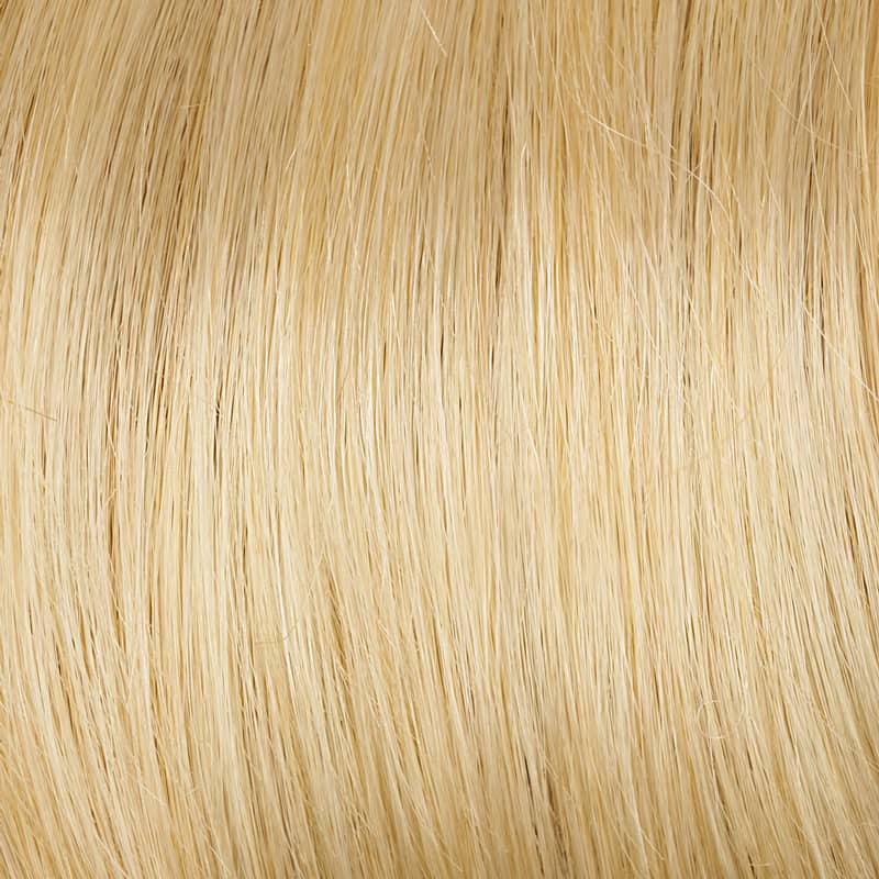 Eva Gabor Wig Color Dark Chocolate Mist