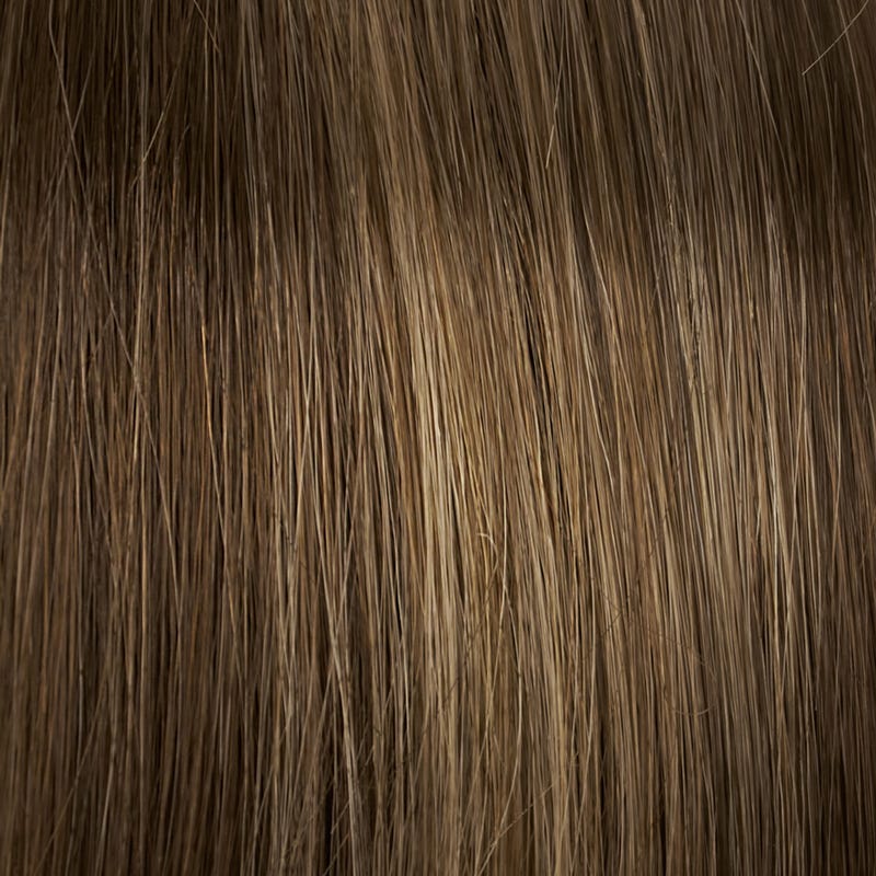Eva Gabor Wig Color Dark Chocolate Mist