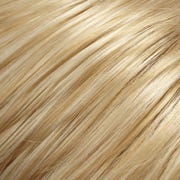 Eva Gabor Wig Color Dark Chocolate Mist