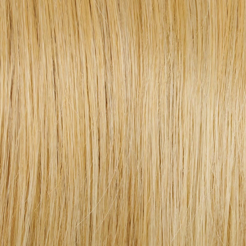 Eva Gabor Wig Color Dark Chocolate Mist