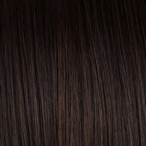 Eva Gabor Wig Color Dark Chocolate Mist