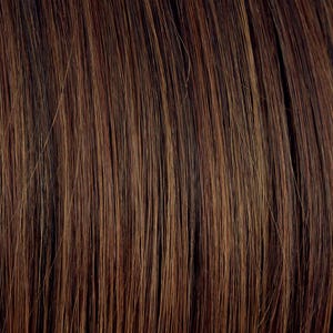 Eva Gabor Wig Color Dark Chocolate Mist