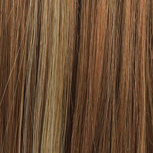 Eva Gabor Wig Color Dark Chocolate Mist