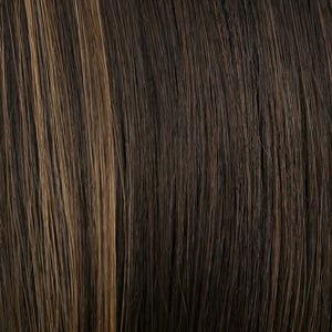 Eva Gabor Wig Color Dark Chocolate Mist