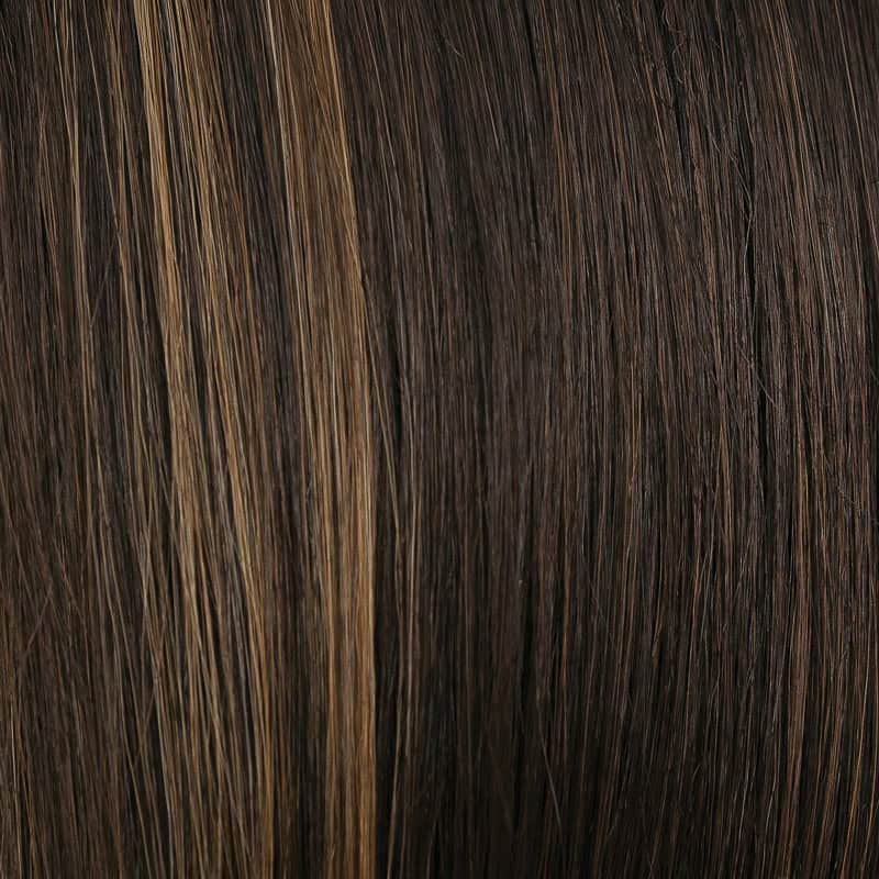 Eva Gabor Wig Color Dark Chocolate Mist