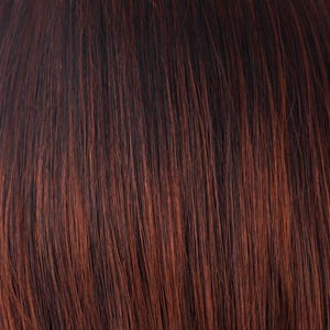 Eva Gabor Wig Color Dark Chocolate Mist