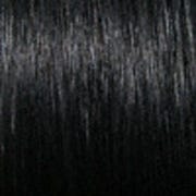 Eva Gabor Wig Color Dark Chocolate Mist