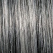 Eva Gabor Wig Color Dark Chocolate Mist