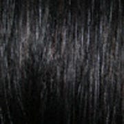 Eva Gabor Wig Color Dark Chocolate Mist