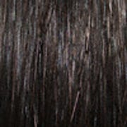 Eva Gabor Wig Color Dark Chocolate Mist