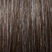 Eva Gabor Wig Color Dark Chocolate Mist
