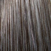 Eva Gabor Wig Color Dark Chocolate Mist